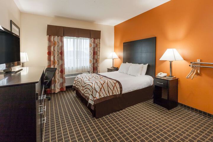 1 Queen Bed Accessible Room (7 of 11)
