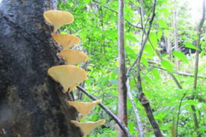 Hotel Exterior 7 of 45