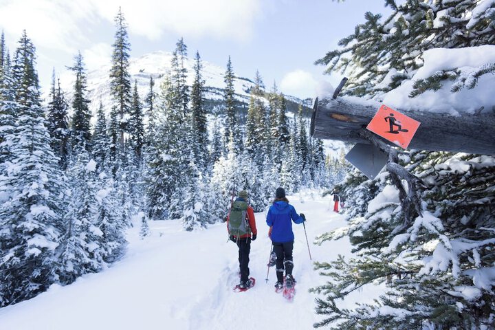 Snowshoeing