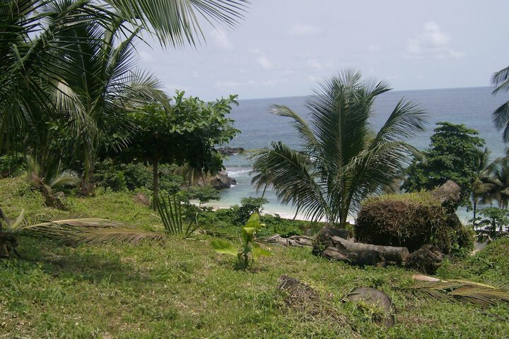 Property Grounds 8 of 55