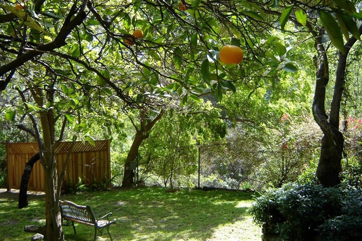 Property Grounds 23 of 29