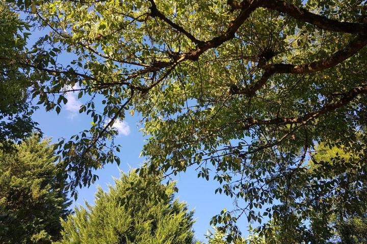 General 44 of 66
