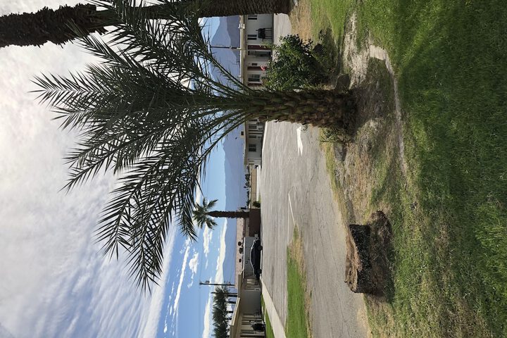 Property Grounds 18 of 23