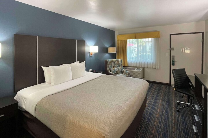 1 King Bed (11 of 14)