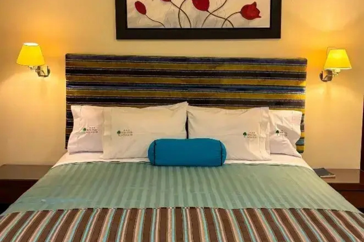 HOTEL PLAZA DEL BOSQUE INN