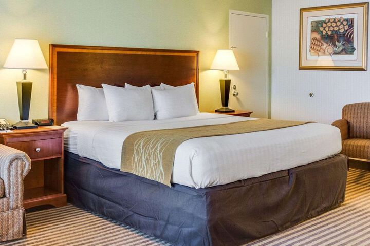 1 King Bed (3 of 6)