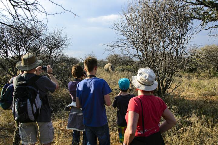 Game viewing