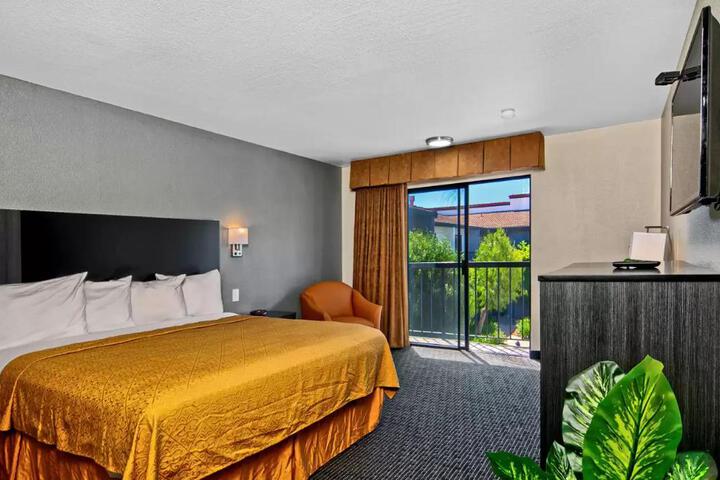 1 King Bed (12 of 13)
