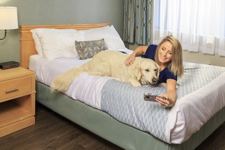 Pet-friendly