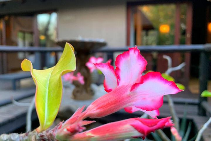 Photo 28