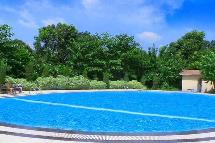 Pool to Cool