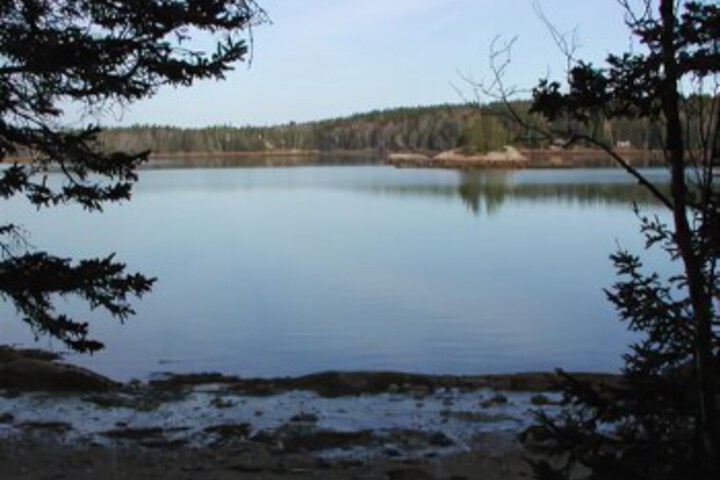 Property Grounds 5 of 20