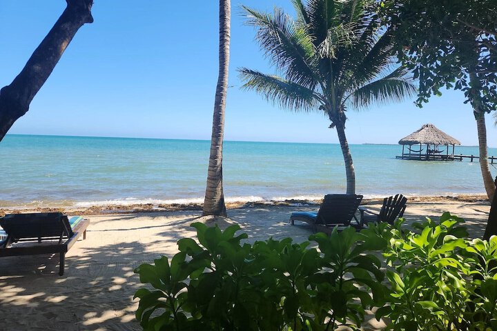 Beach 220 of 223