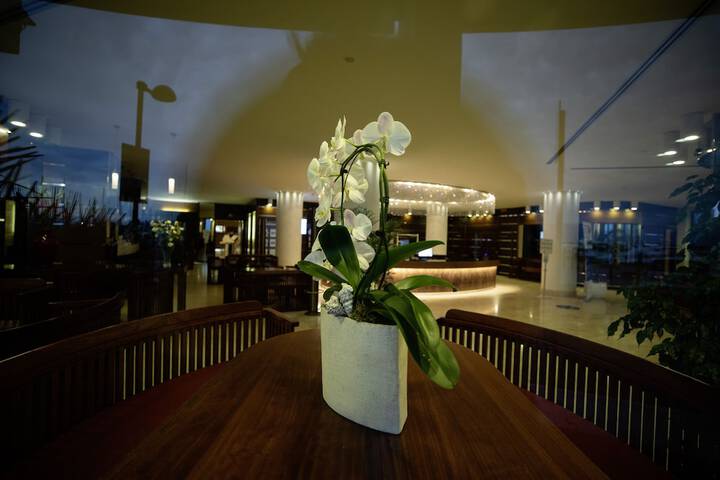 Hotel Lobby