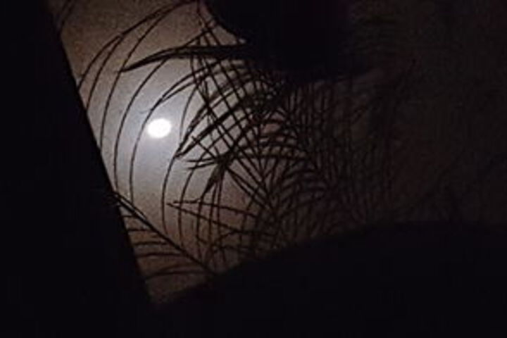 Hotel View 118 of 126