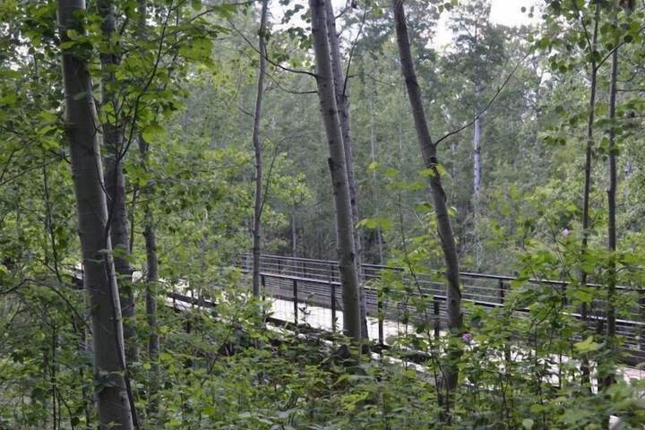 Outdoor Activities 22 of 33