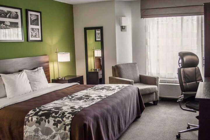 1 King Bed (4 of 4)