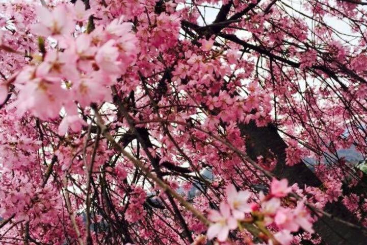 General 38 of 94