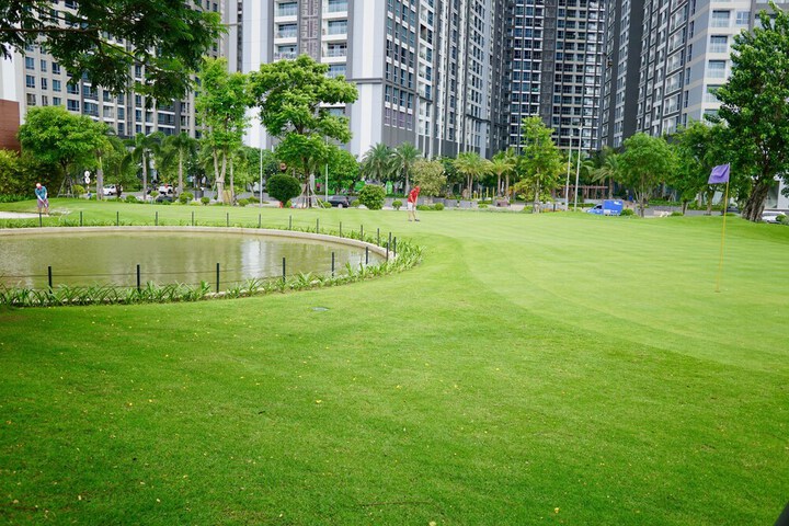 Golf 27 of 33
