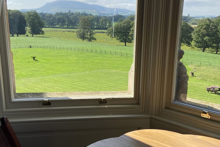 View from room