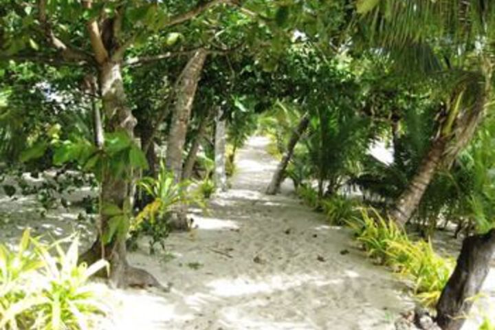 Beach 9 of 24