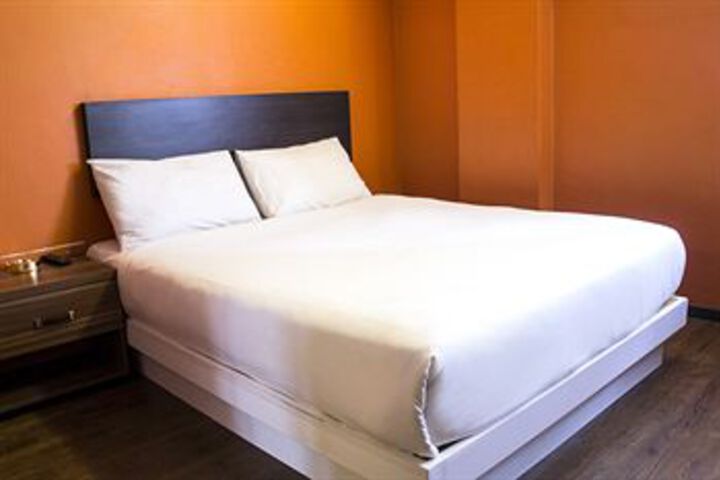 Suite Room