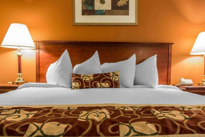 1 King Bed (5 of 8)