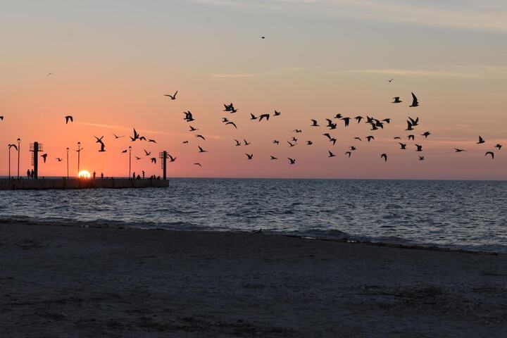 Beach 21 of 38