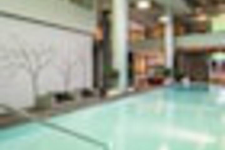 Pool 41 of 51