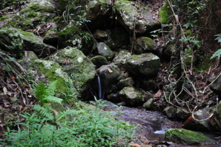 Property Grounds 29 of 43