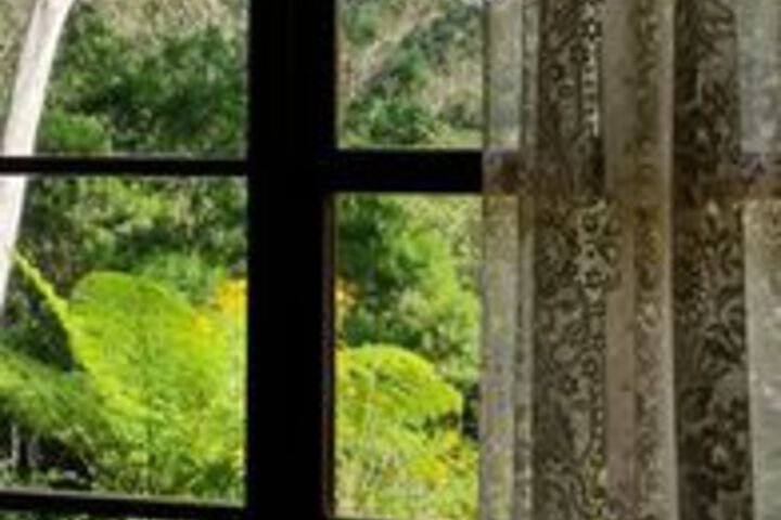 Room View