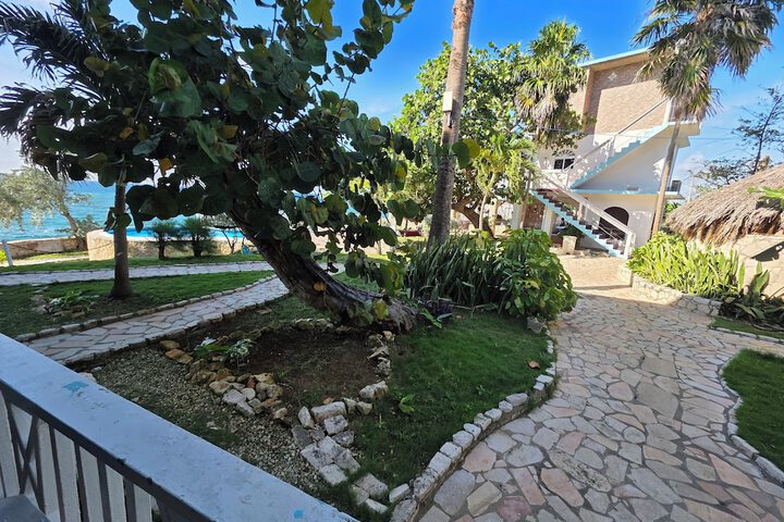 Terrace/Patio 266 of 266