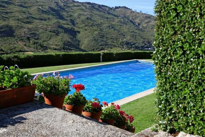 Hotel Pool