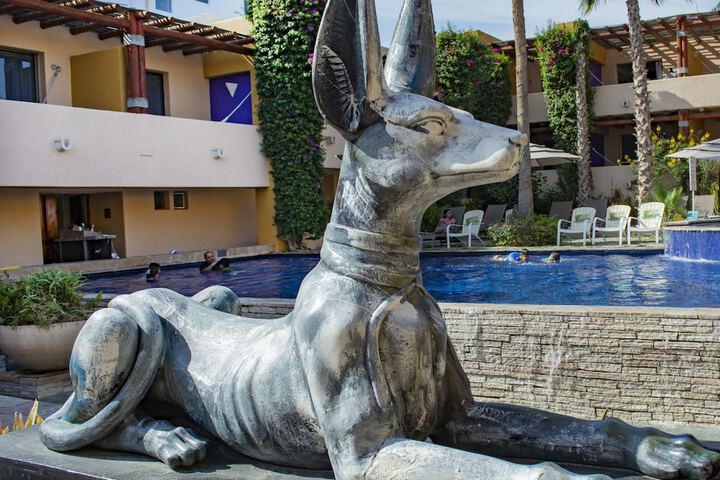Hotel with Pool