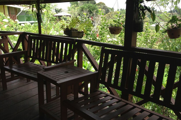 Terrace/Patio 31 of 34