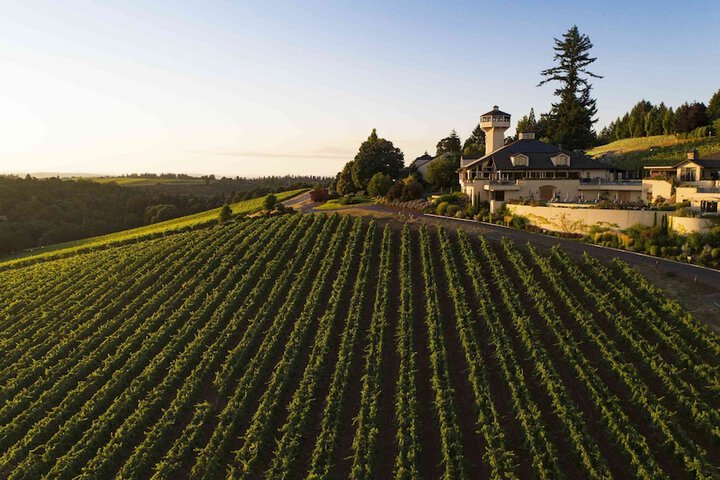 Winery