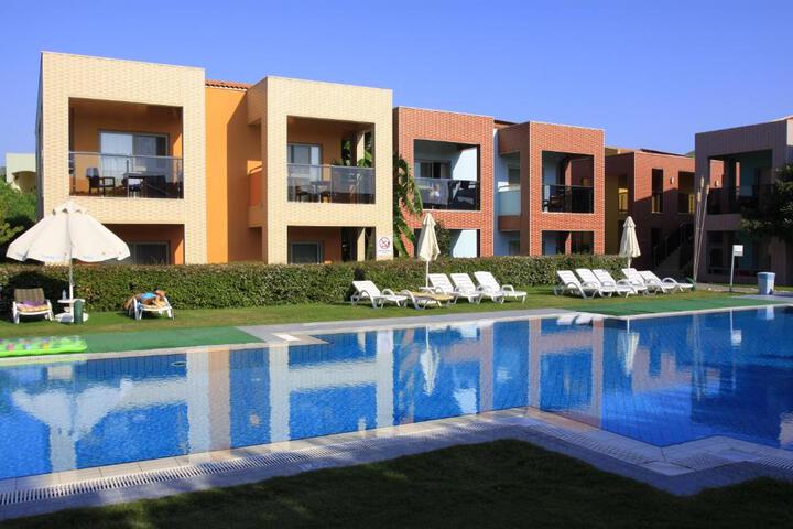 Photo 5