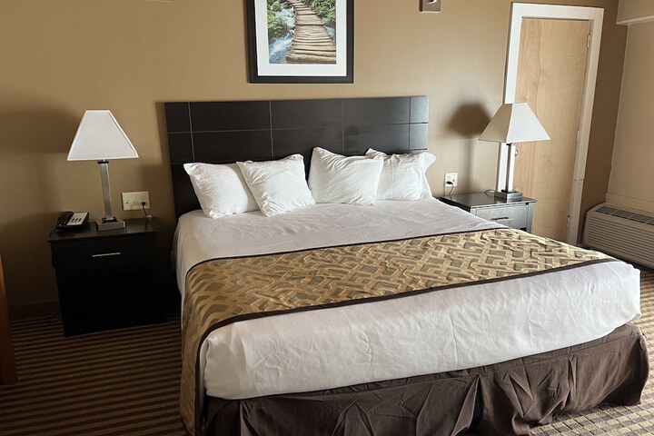 Standard | King Bed (4 of 7)