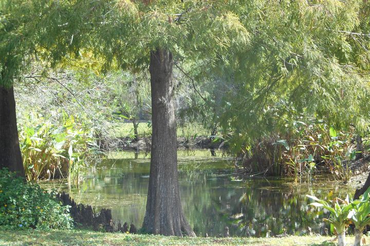 Property Grounds 42 of 49