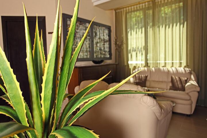 Room 20 of 48