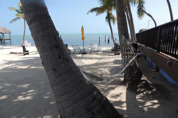 Beach 82 of 82
