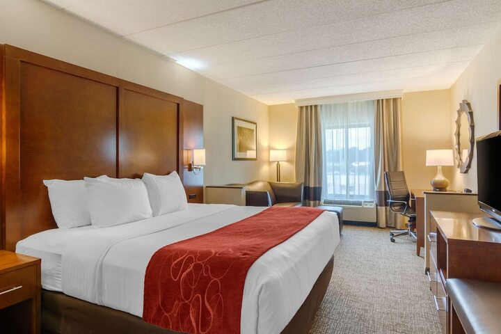 1 King Bed 2 Person Sofa Bed (9 of 30)