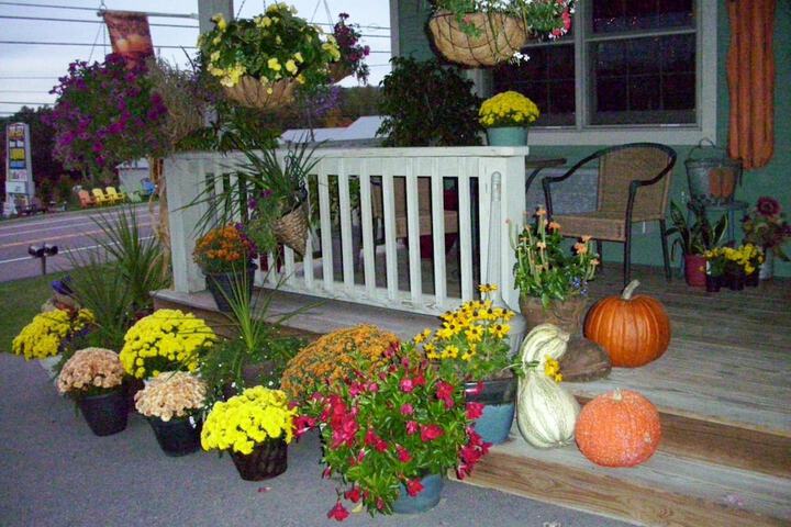 Property Grounds 56 of 64