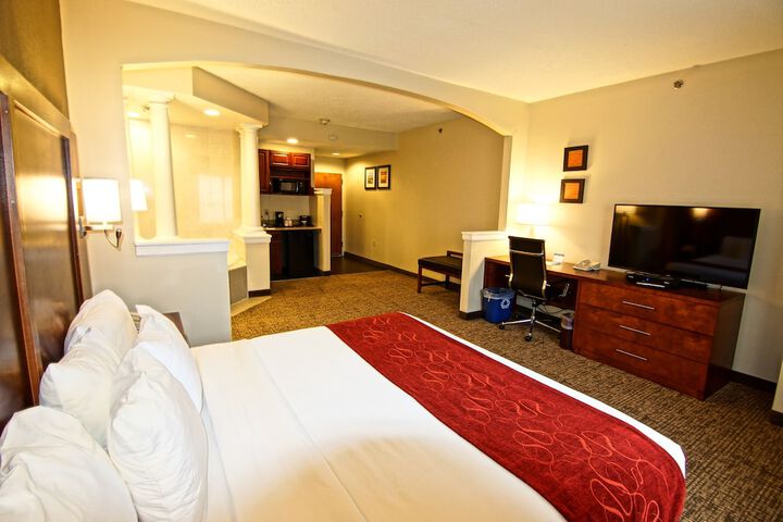 1 King Bed Suite (13 of 25)