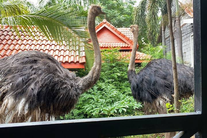 Ecotours