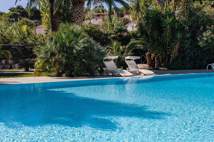 Hotel Pool