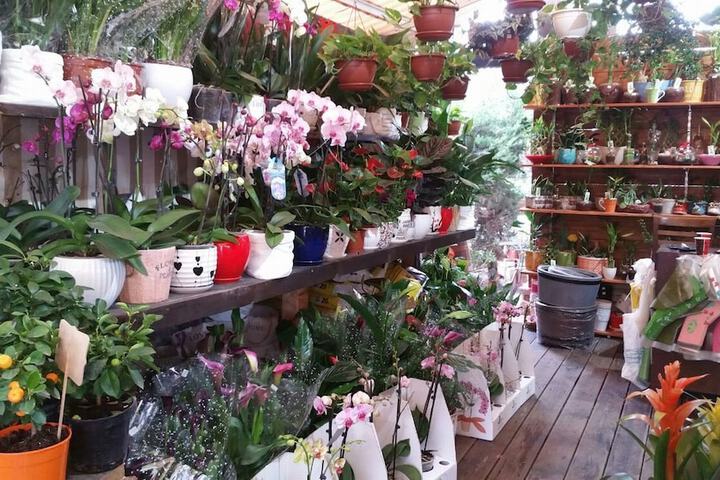 Gift Shop 60 of 78