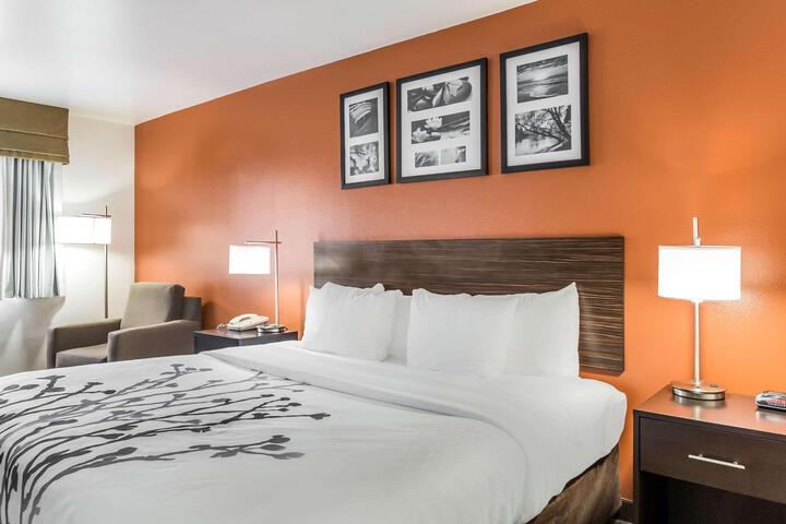 1 King Bed (9 of 19)