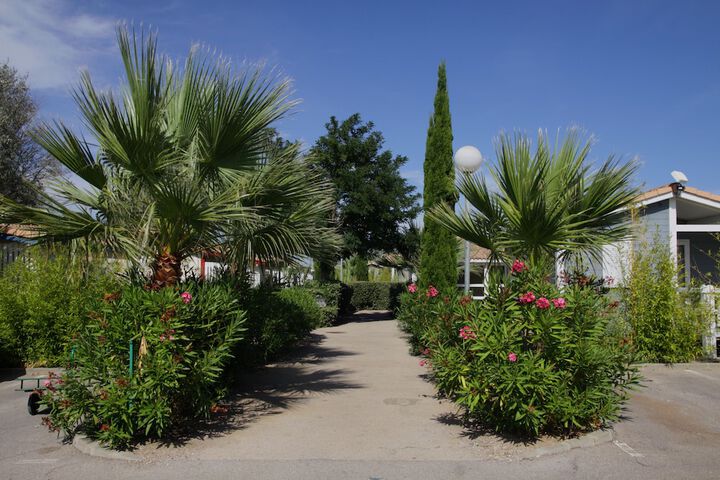 Property Grounds 26 of 35
