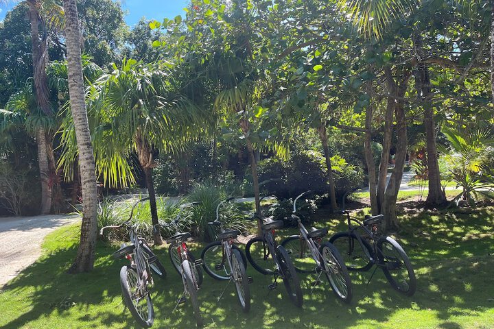 Bicycling